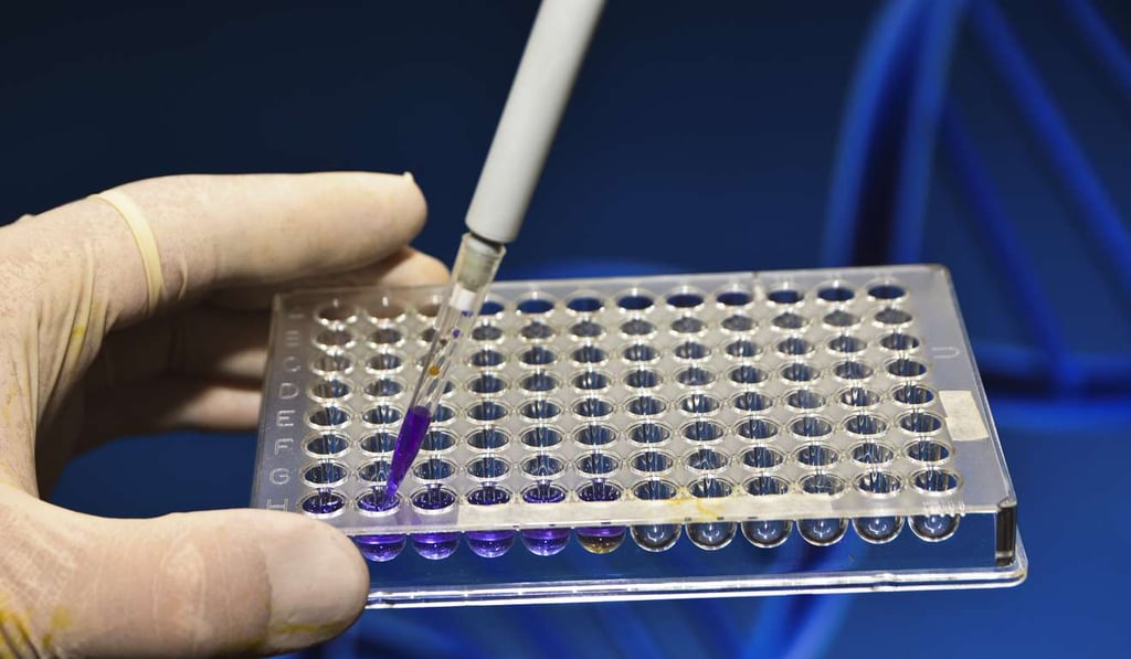 A molecular genetics researcher at work in a biotechnology laboratory. Photo: Shutterstock