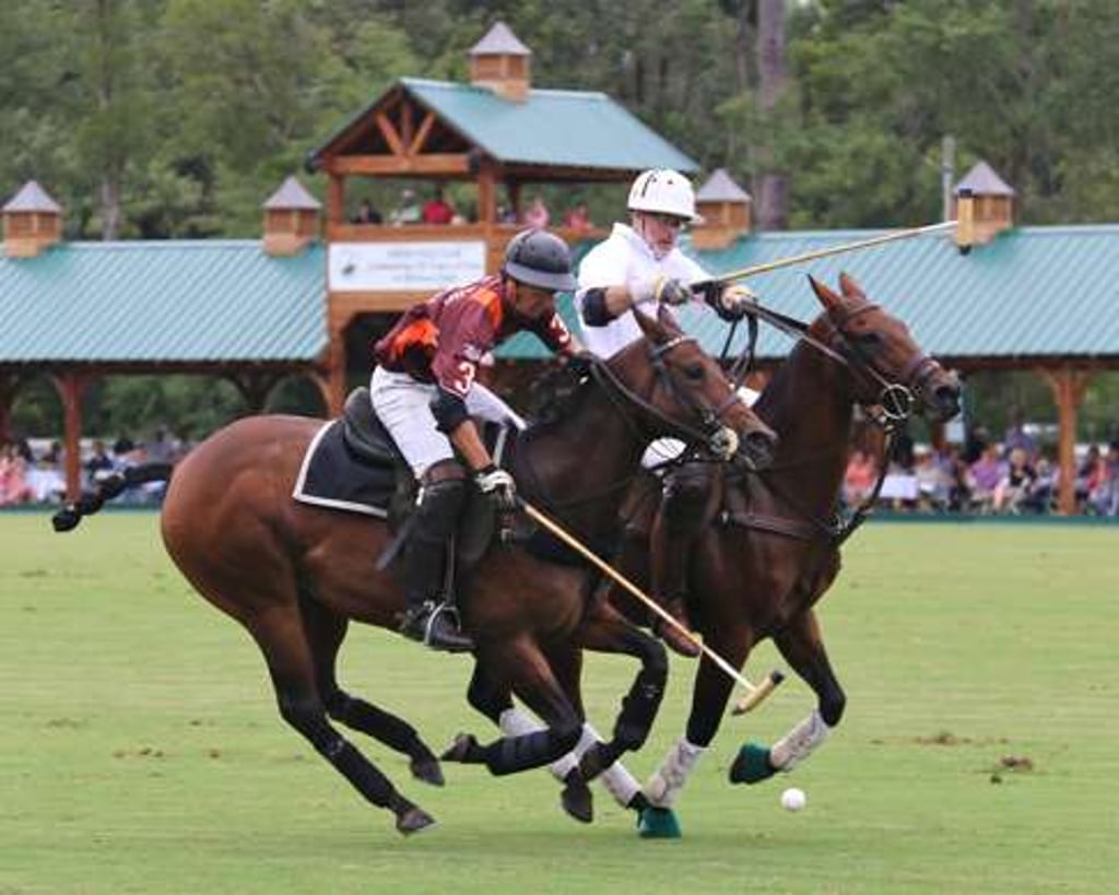 The sport’s appeal is its social aspect as well as its the speed and exhilaration involved in watching horses running at each other