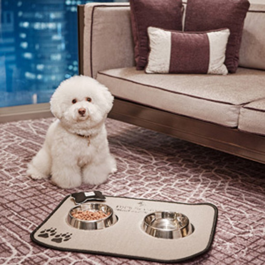 At Four Seasons Hotel Seoul in downtown Seoul, guests' pets can have a space in the room for an extra 250,000 won (US$218). Photo: Four Seasons Hotel Seoul