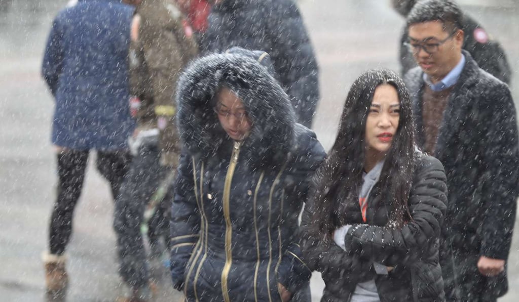 Snow began falling in Beijing at noon on Tuesday. Photo: Simon Song