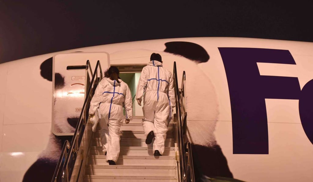 Staff members of Sichuan Entry-Exit Inspection and Quarantine Bureau get abroad to check the condition of giant panda Bao Bao at Chengdu Shuangliu International Airport. Photo: Xinhua