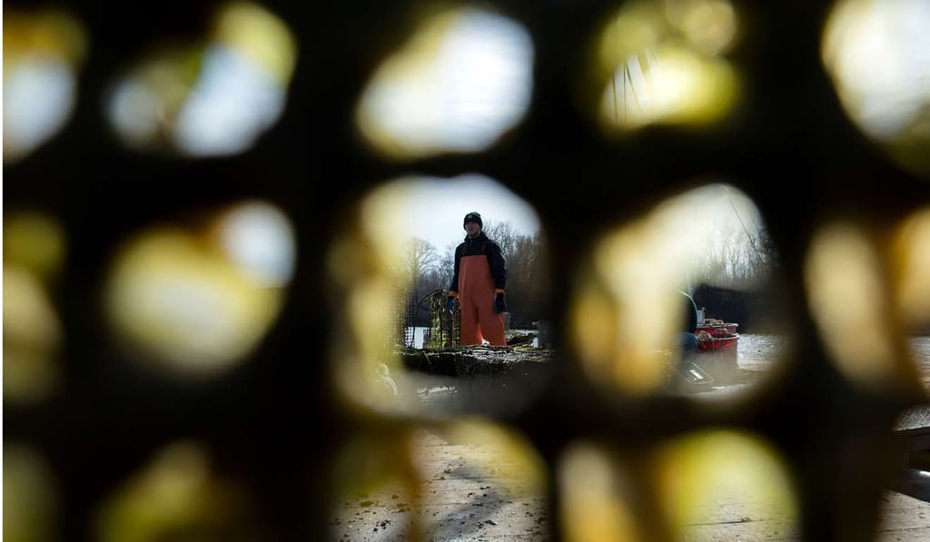 A worker at an oyster farm in Hollywood, Maryland, takes a break from sorting oysters. In America, the share of national income going to labour has been declining. Photo: AFP