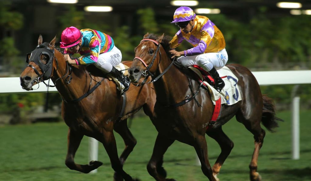 Wednesday night race meetings at Happy Valley are a staple of social life for many Hongkongers.