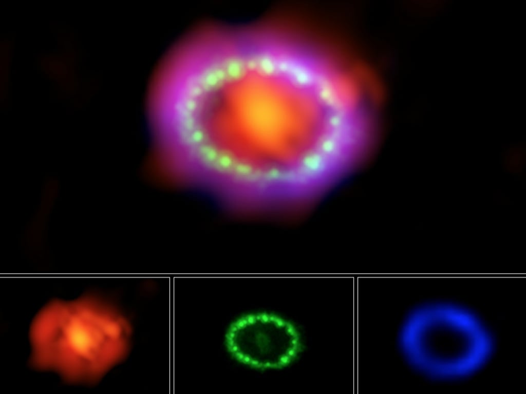 An image of Supernova 1987A's remnants in three different wavelengths of light: infrared (red-orange), visible (green), and X-ray (blue-violet). Photo: NASA/ESA/NRAO/AUI/NSF; Hubble team; Chandra team; ALMA team An image of Supernova 1987A's remnants in three different wavelengths of light: infrared (red-orange), visible (green), and X-ray (blue-violet). Photo: NASA/ESA/NRAO/AUI/NSF; Hubble team; Chandra team; ALMA team