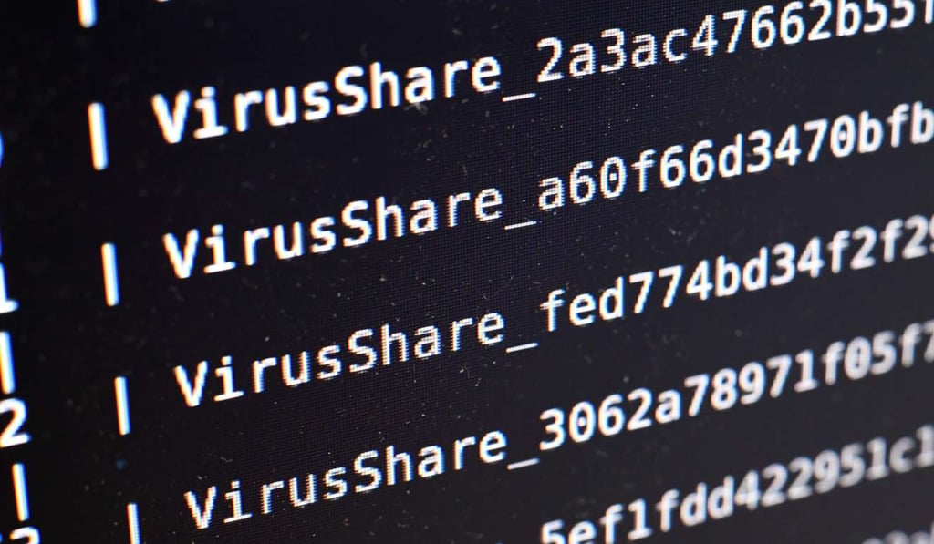 This picture shows on a screen viruses at the LHS (High Security Laboratory) of the INRIA (National Institute for Research in Computer Science and Automation) in Rennes. Photo: AFP