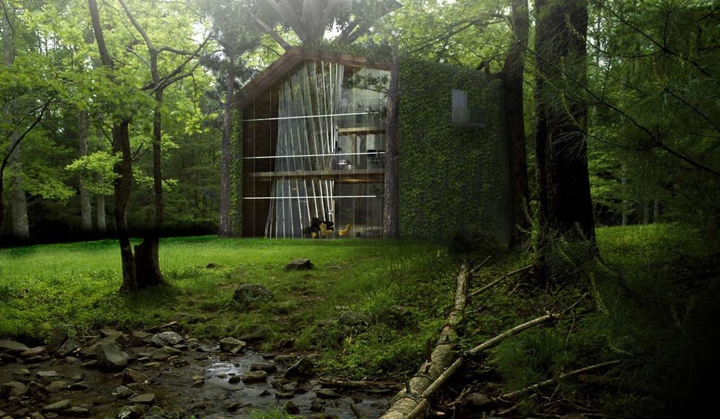 The treehouse is supported by living evergreen mature trees on site and no wood is lumbered for space. The treehouse is supported by living evergreen mature trees on site and no wood is lumbered for space.