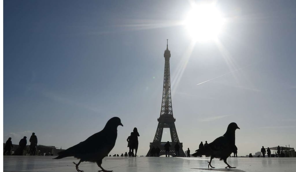 Two pigeons walk on Trocadero square in front of the Eiffel Tower. Photo: AFP Two pigeons walk on Trocadero square in front of the Eiffel Tower. Photo: AFP