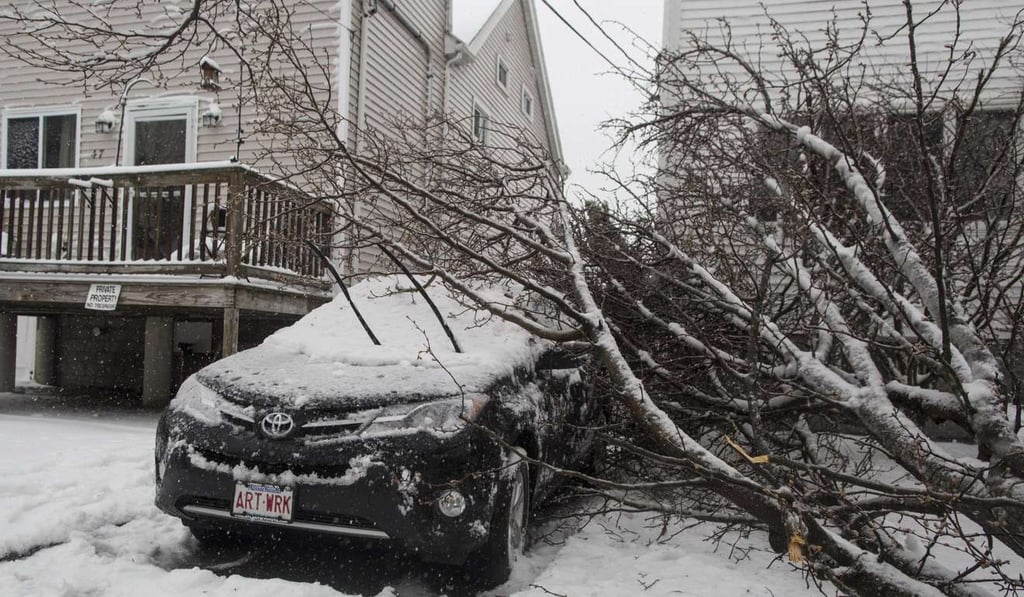 A downed tree on top of a car in Revere, Massachusetts. Photo: AFP