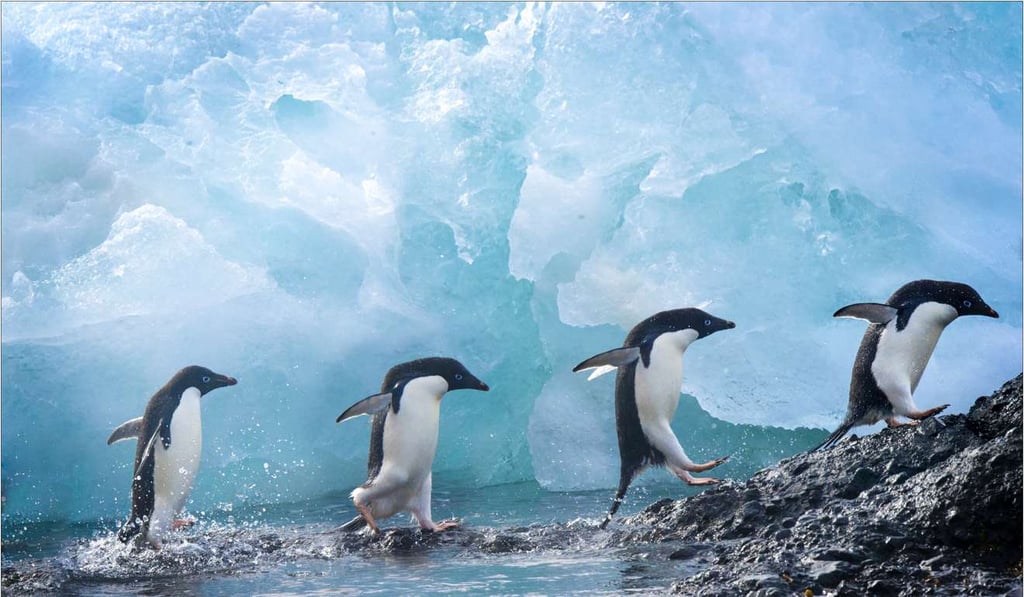 Francis Siu’s “The Troop”.