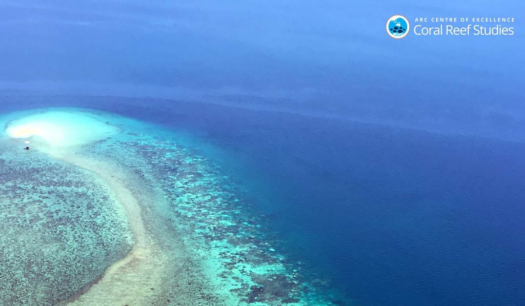 A severely bleached reef is seen from the air along the inner shelf between Cape York and Cape Tribulation, Great Barrier Reef, Australia. Photo: ARC Centre of Excellence via AP A severely bleached reef is seen from the air along the inner shelf between Cape York and Cape Tribulation, Great Barrier Reef, Australia. Photo: ARC Centre of Excellence via AP