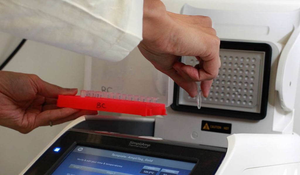 Laboratory testing. Photo: May Tse