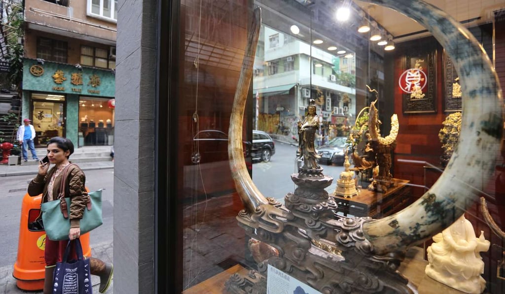 Ivory products on display at a shop on Hollywood Road. Under the proposed law, all imports and exports of ivory would completely end, and possession of all commercial ivory would be banned after five years. Photo: Felix Wong