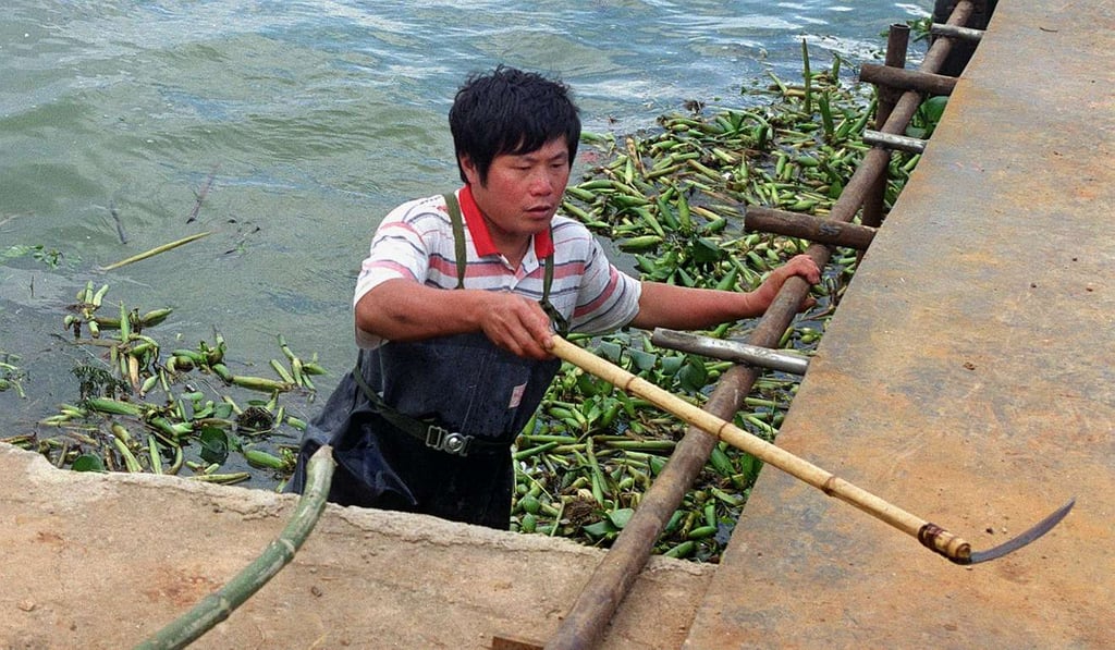 A fisherman works on the polluted waterways of Dianchi lake in Yunnan province. Photo: SCMP Pictures