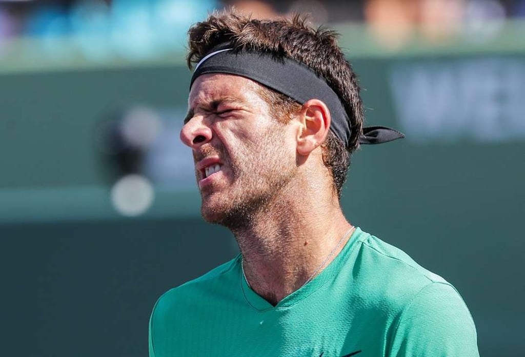 Del Potro struggled against Federer despite the backing of the crowd. Photo: EPA