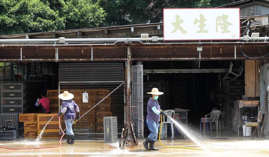Workers cleaning at Cheung Sha Wan Temporary Wholesale Poultry Market. Photo: Edward Wong