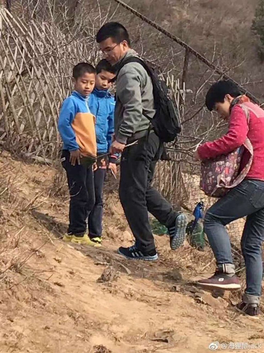 A man seen holding the tail feathers of the peacock at the park. Photo: Handout