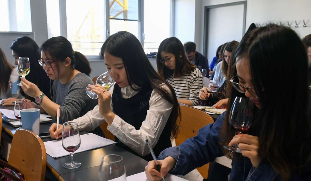Chinese students represent nearly 30 per cent of the 135 students of at the School of Wine of the Dijon Business School. Photo: AFP