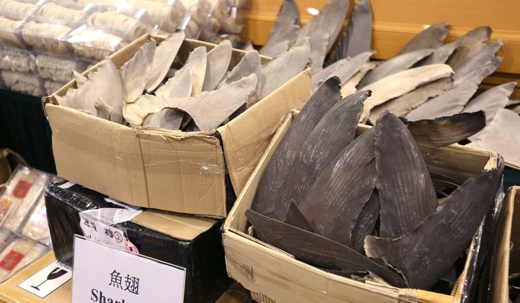 Shark fin, wine and bird’s nest all seized by customs officers from an alleged smuggling syndicate on Tuesday. Photo: Xiaomei Chen Shark fin, wine and bird’s nest all seized by customs officers from an alleged smuggling syndicate on Tuesday. Photo: Xiaomei Chen
