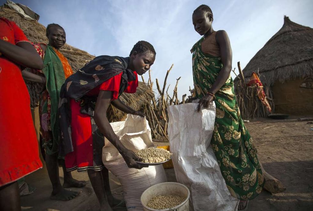 Maize is distributed in South Sudan’s Unity State, where millions are at risk of famine. Picture: AFP