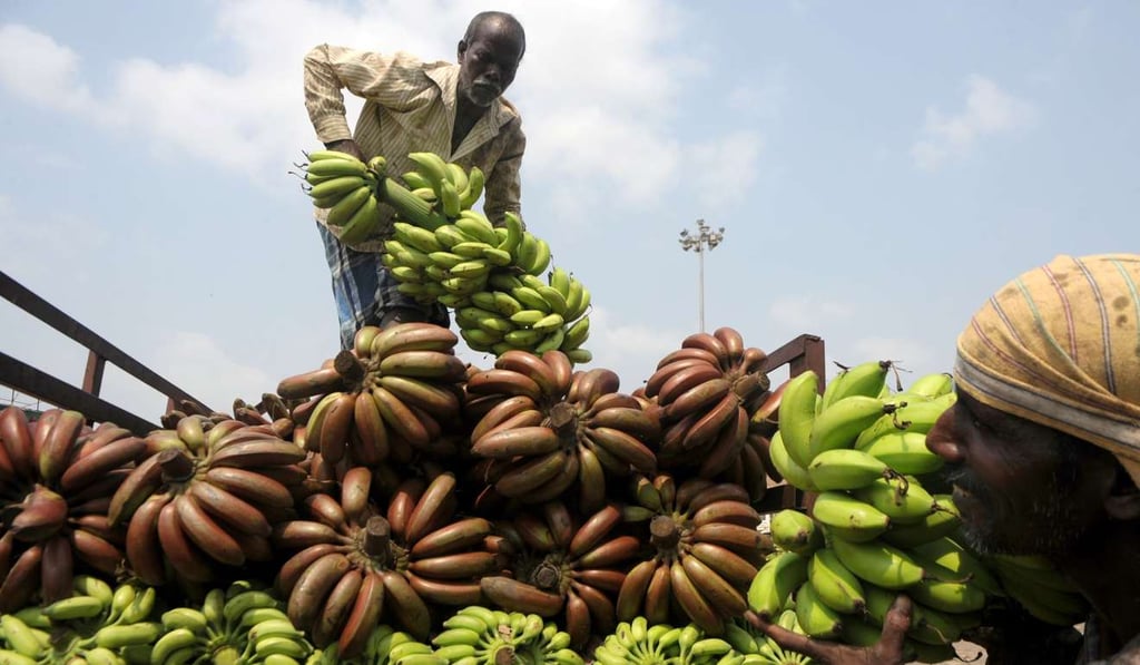 Indian labourers unload bananas from a truck at a wholesale fruit and vegetable market in Chennai this month. Developing Asian countries are expected to drive the world economy in the next two years. Photo: AFP Indian labourers unload bananas from a truck at a wholesale fruit and vegetable market in Chennai this month. Developing Asian countries are expected to drive the world economy in the next two years. Photo: AFP