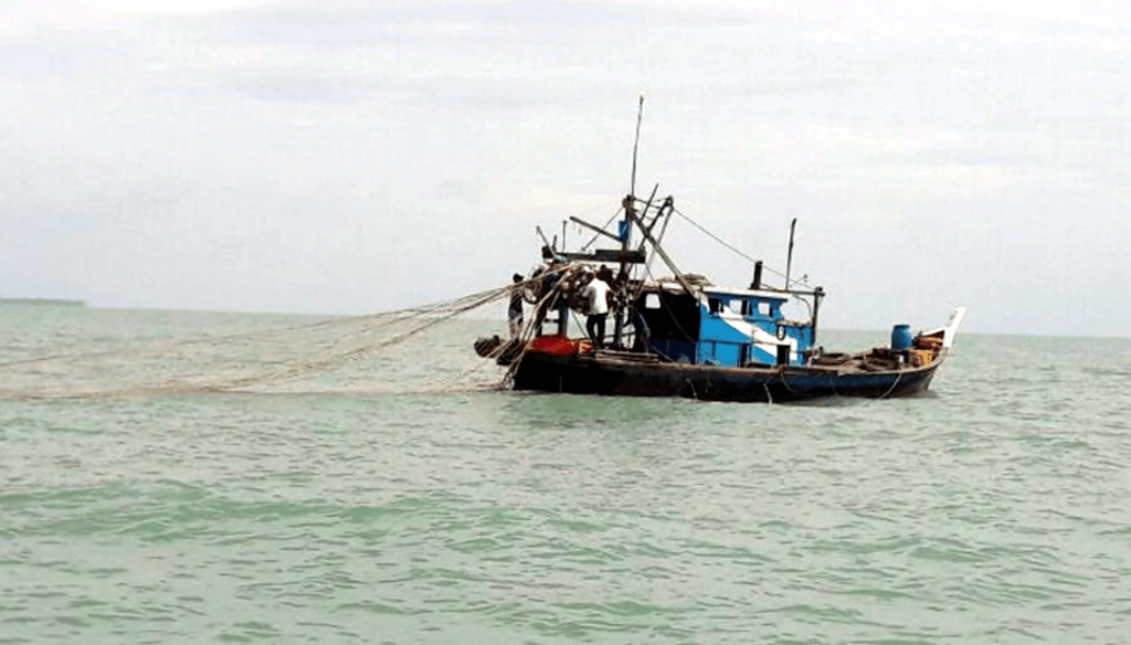 Boat operators are facing a bleak future due to the invasion of the banned red claw crayfish. Photo: New Straits Times