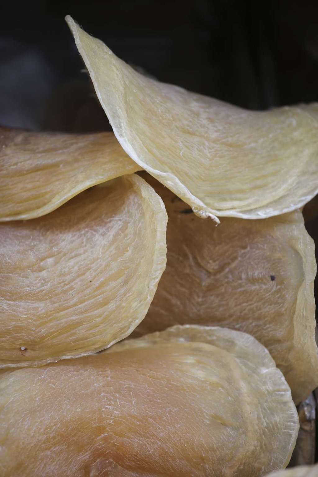 Fish maw at Hoi Cheong Ho. Photo: David Wong