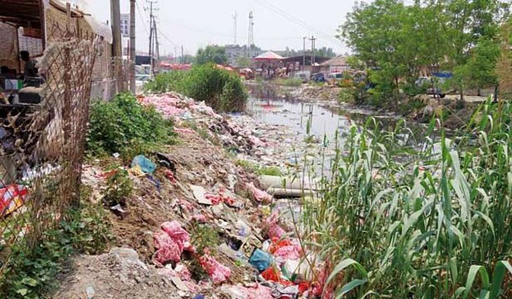 Pollution on the edge of Baiyang Lake in Hebei province. Photo: Green Living magazine Pollution on the edge of Baiyang Lake in Hebei province. Photo: Green Living magazine