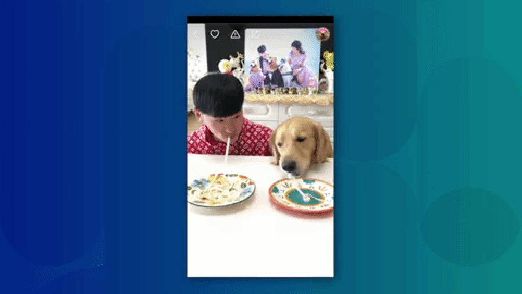 Kuaishou user Jinmaodanhuang sells pet supplies through his Taobao store linked to the short video platform. (Picture: Kuaishou)