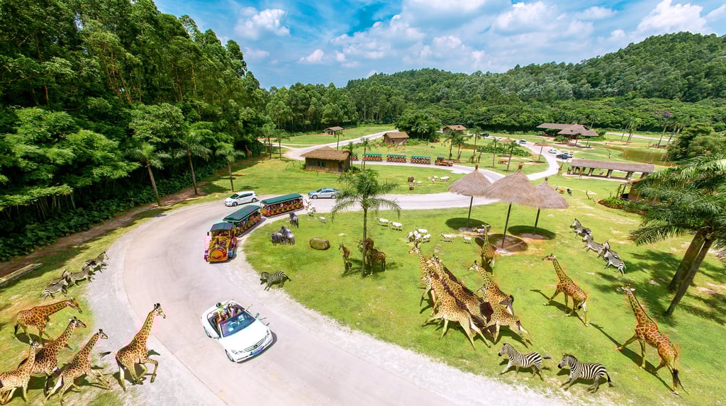 Chimelong Safari Park in Guangzhou Chimelong Safari Park in Guangzhou