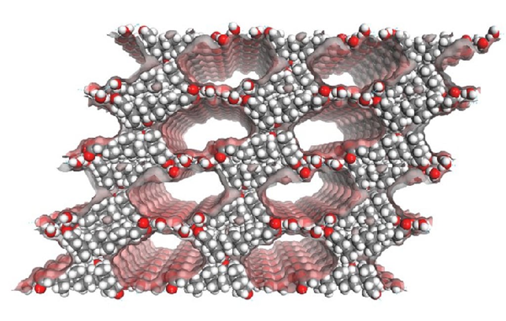 HTD1801’s unique microstructure enhances the solubility and lipophilicity of the ‘one-pill solution’ enabling its dual active centres to release synergistically to maximise efficacy and safety.