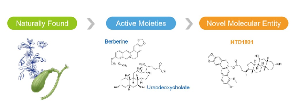 A novel, dual-mechanism molecule – HTD1801 restores systemic metabolic balance beyond the reach of traditional single-target drugs, improving core metabolic indicators and coordinating multiple metabolic pathways, delivering comprehensive therapeutic benefits.