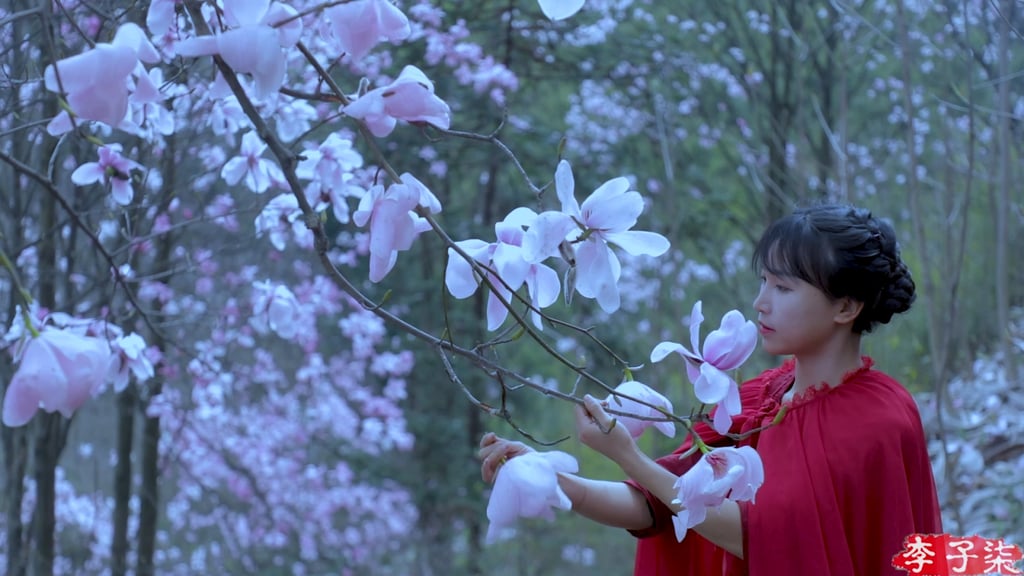 Viewers often ask if Li Ziqi’s ethereal, cinematic videos are real. Photo: Li Ziqi Viewers often ask if Li Ziqi’s ethereal, cinematic videos are real. Photo: Li Ziqi