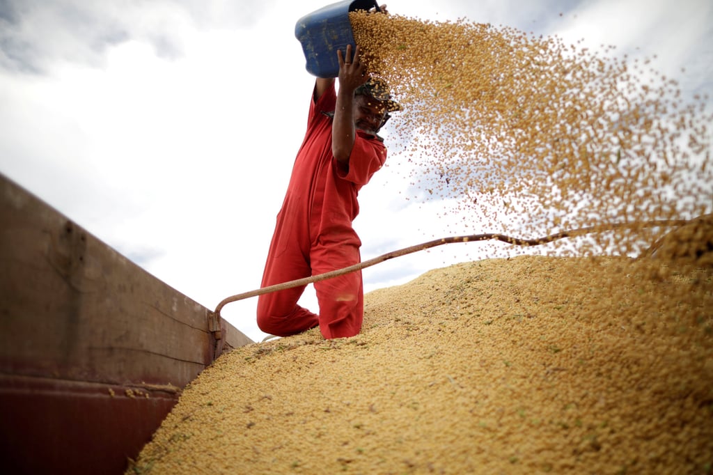 A worker inspects soybeans during the a harvest near the town of Campos Lindos in Brazil in February 2018. Brazil is the world’s largest soybean producer and China’s primary soybean supplier. Photo: Reuters