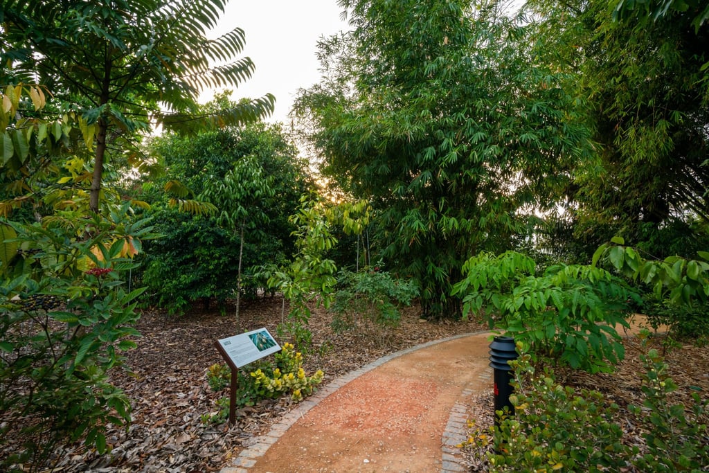 The OCBC Arboretum at the Singapore Botanic Gardens. Photo: National Parks Board, Singapore The OCBC Arboretum at the Singapore Botanic Gardens. Photo: National Parks Board, Singapore