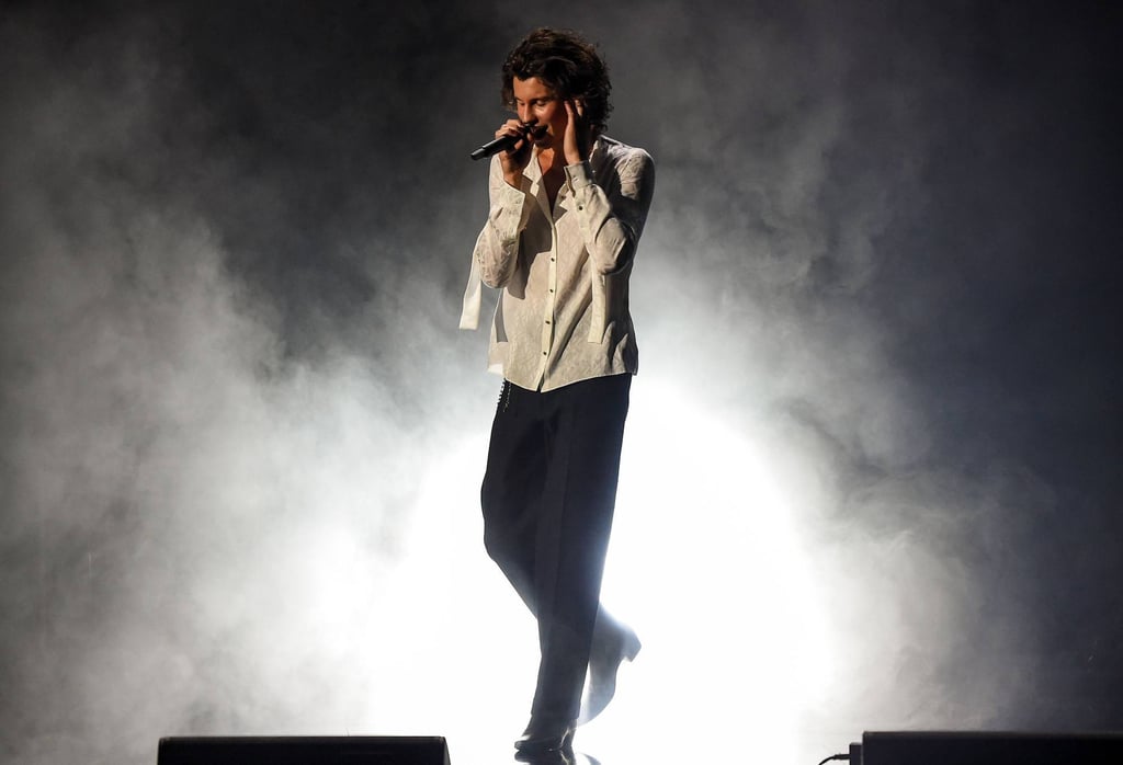 Singer Shawn Mendes. Photo: ABC/AFP