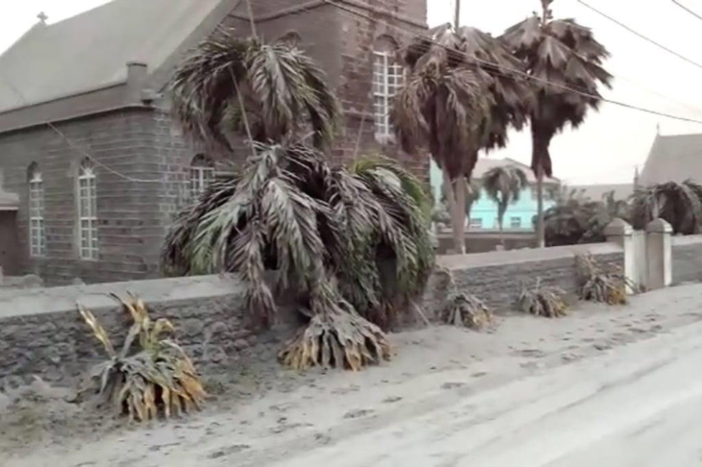 Ash covers palm trees and a church a day after the La Soufriere volcano erupted. Photo: Reuters