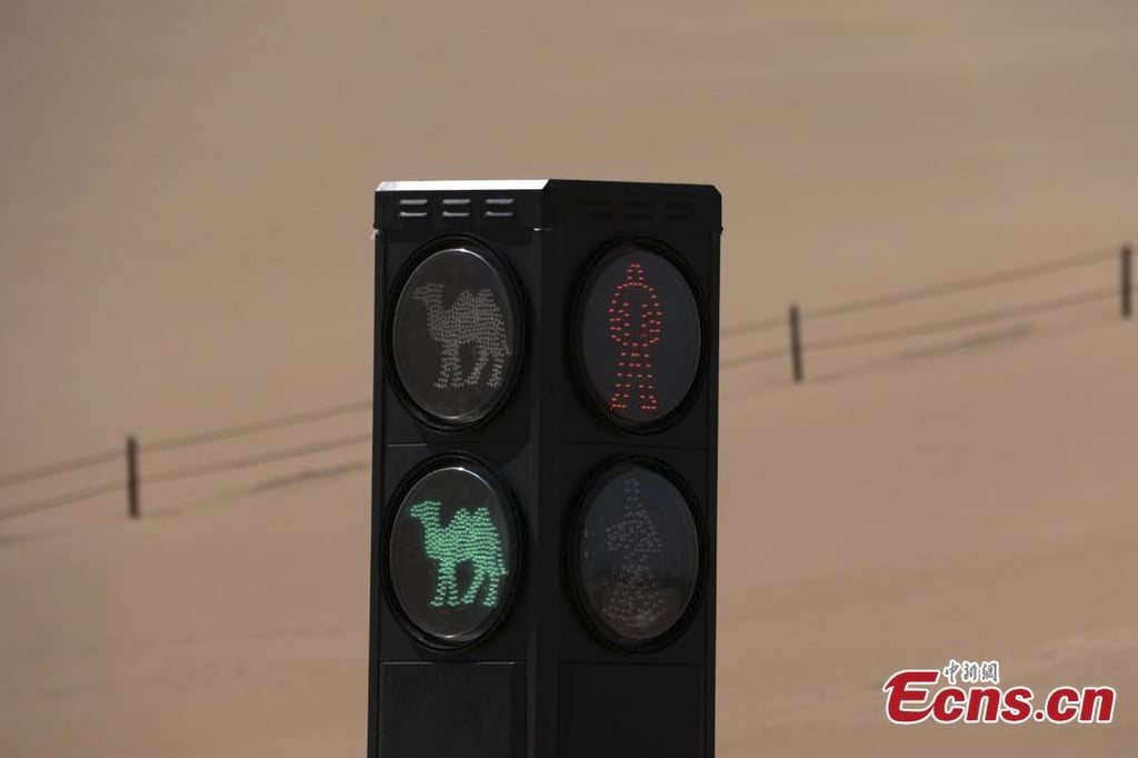 After a series of collisions between cars, pedestrians and hooved vehicles, authorities decided on a novel solution, a camel traffic light. Photo: China News Service