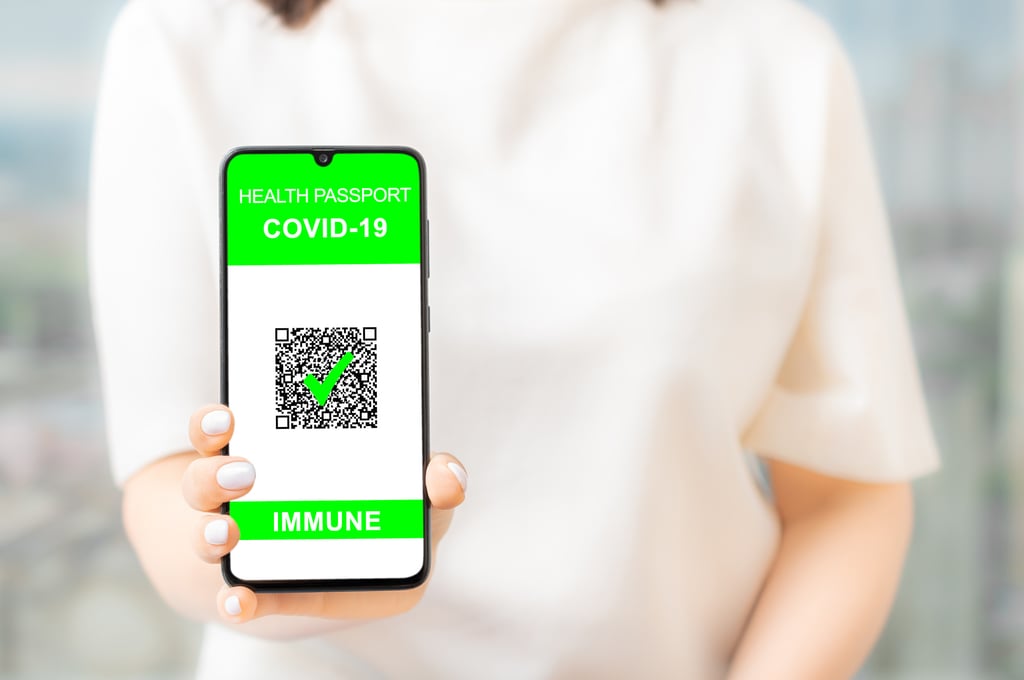 There has already been controversy on whether to adopt the risk-exposure notification app ‘Leave Home Safe’. Photo: Shutterstock