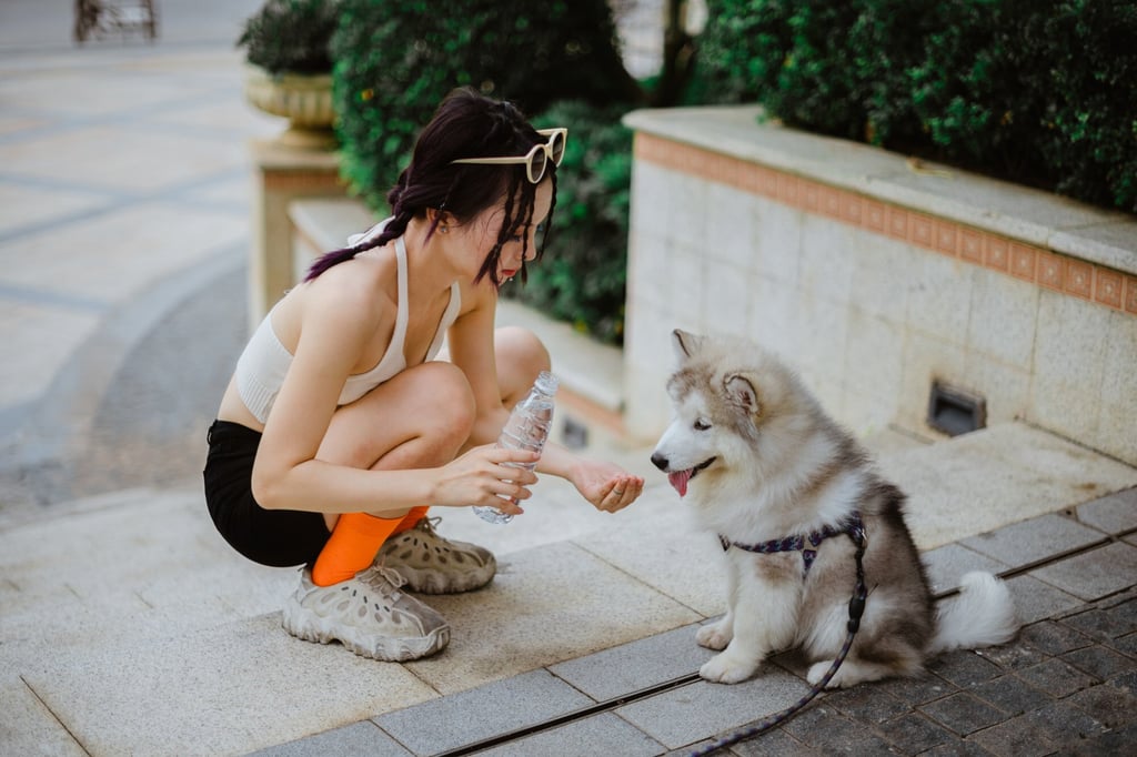 Dog ownership is becoming increasingly popular in China, but sometimes it causes tensions among residents. Credit: Getting Images