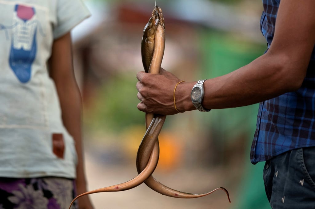 When Huang was a child, he would catch and sell eels to pay for his tuition. Photo: Reuters When Huang was a child, he would catch and sell eels to pay for his tuition. Photo: Reuters