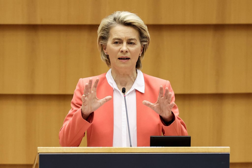 Von der Leyen made it clear she expects to be treated as an equal with EU council chief Charles Michel. Photo: AFP