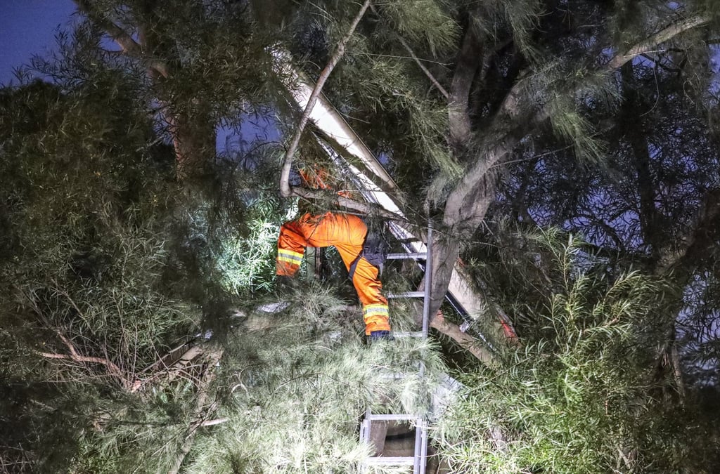 The KMB bus slammed into a tree on Fanling Highway on December 18, 2019. Photo: Dickson Lee
