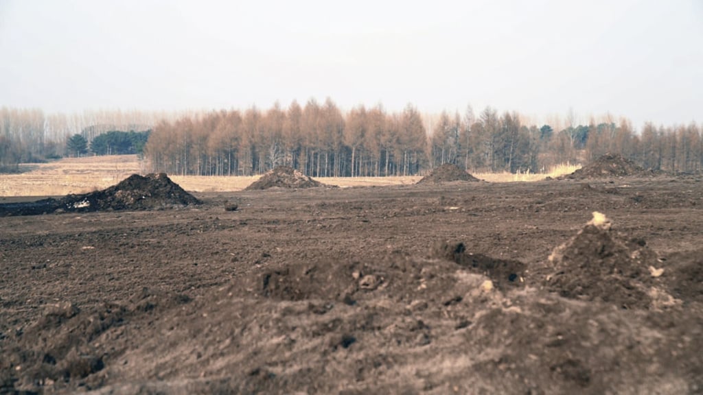 Heilongjiang is an important grain-producing region in China. Photo: Sina