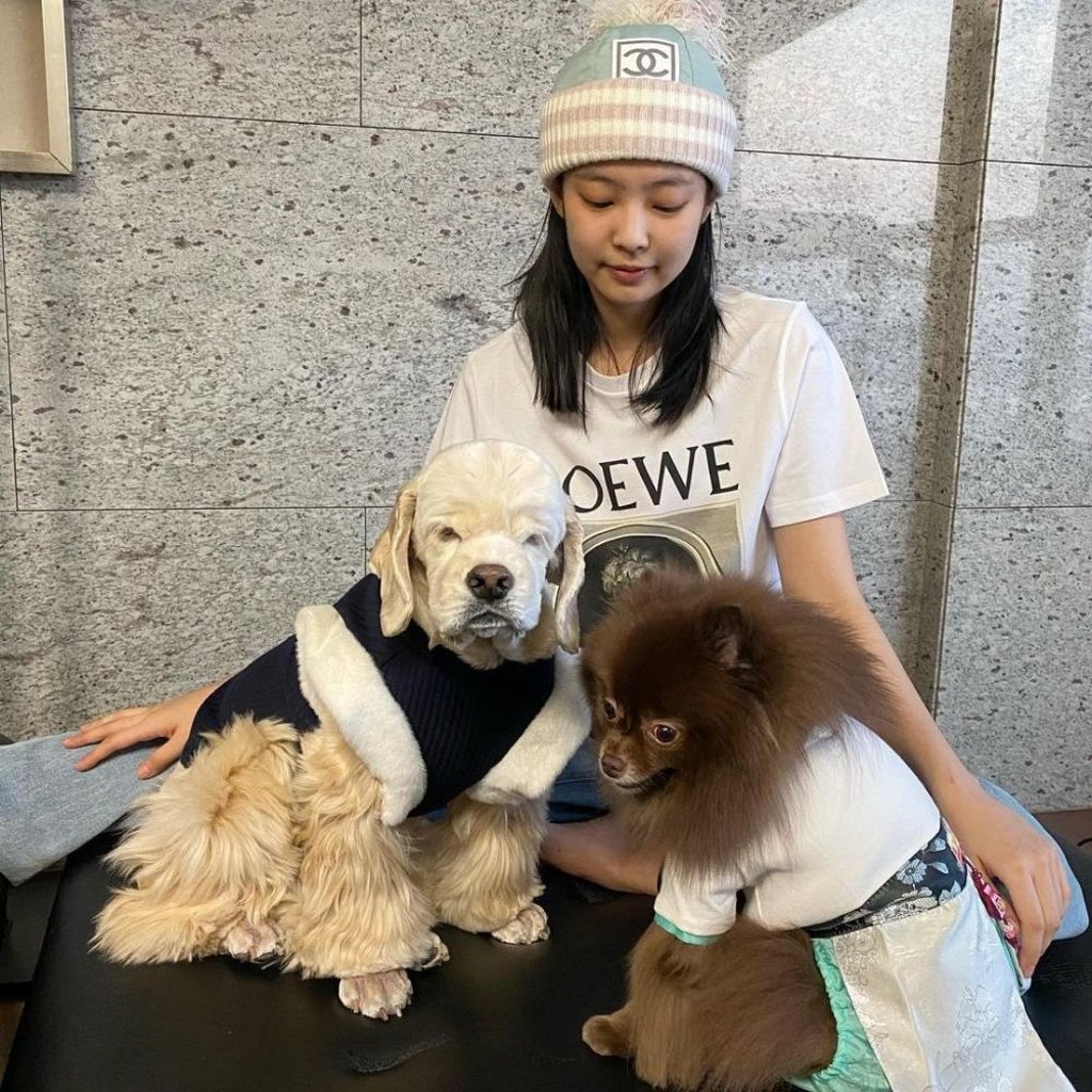 Blackpink’s Jennie with her pets. Photo: @Gentlemanoban97/Twitter