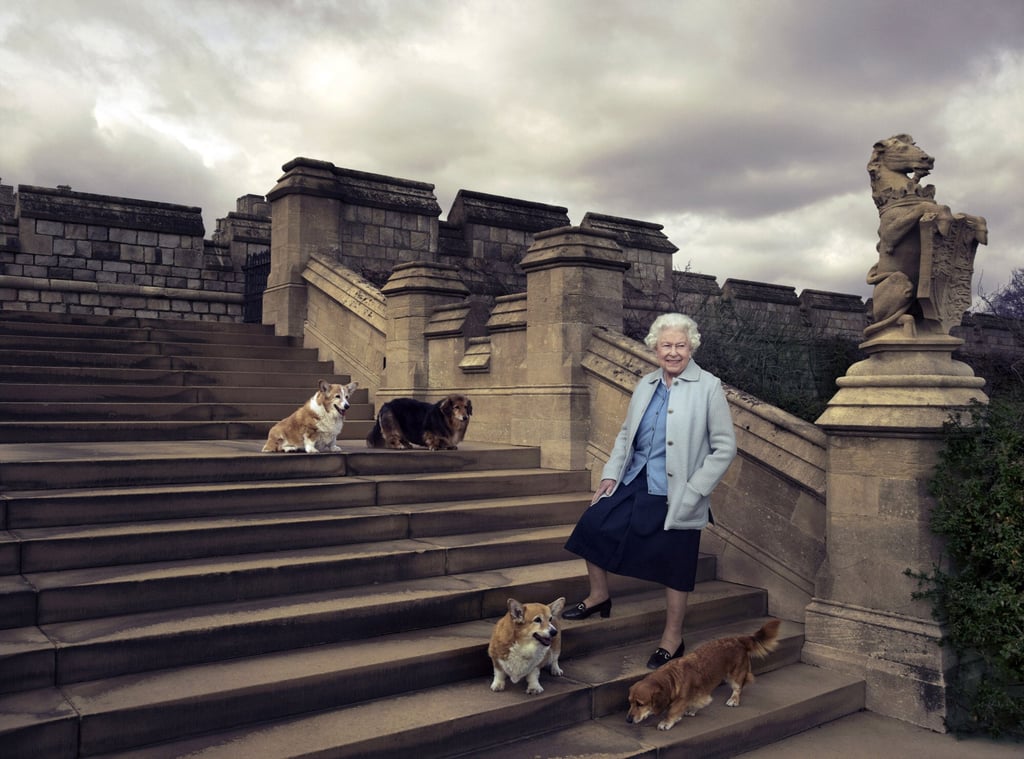 In this official photograph released by Buckingham Palace to mark the queen’s 90th birthday in 2016, Queen Elizabeth walks in the private grounds of Windsor Castle, in England, with four of her dogs. Photo: AP In this official photograph released by Buckingham Palace to mark the queen’s 90th birthday in 2016, Queen Elizabeth walks in the private grounds of Windsor Castle, in England, with four of her dogs. Photo: AP