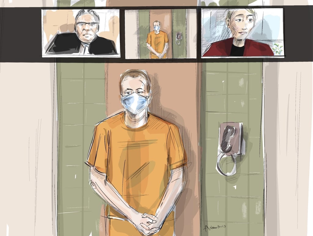 Courtroom artist’s sketch of Nathaniel Veltman in a virtual appearance in court in London, Ontario, Canada on Thursday. Photo: The Canadian Press via AP