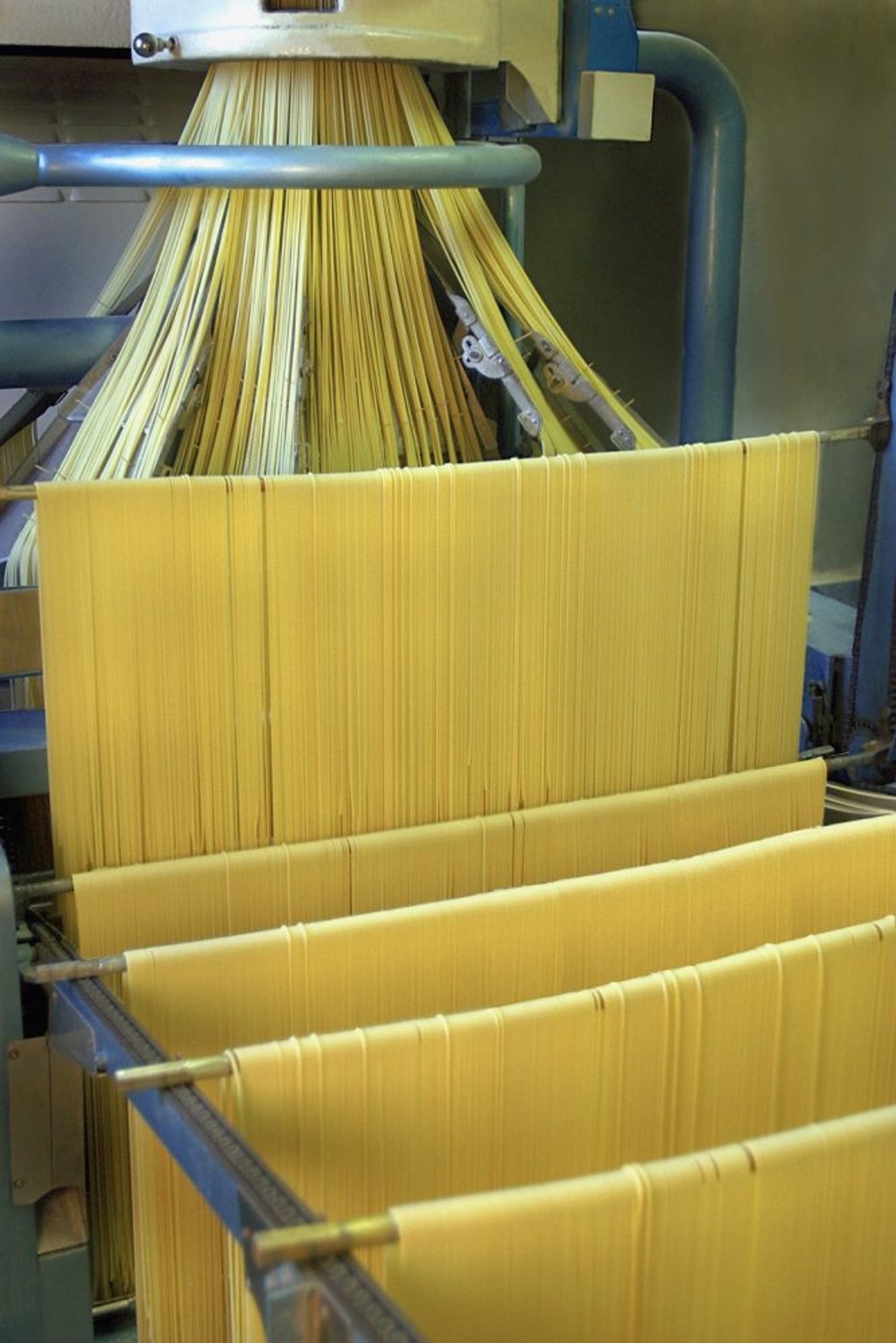 Spaghettoni being made at the Benedetto Cavalieri mill and pasta factory. Photo: Benedetto Cavalieri