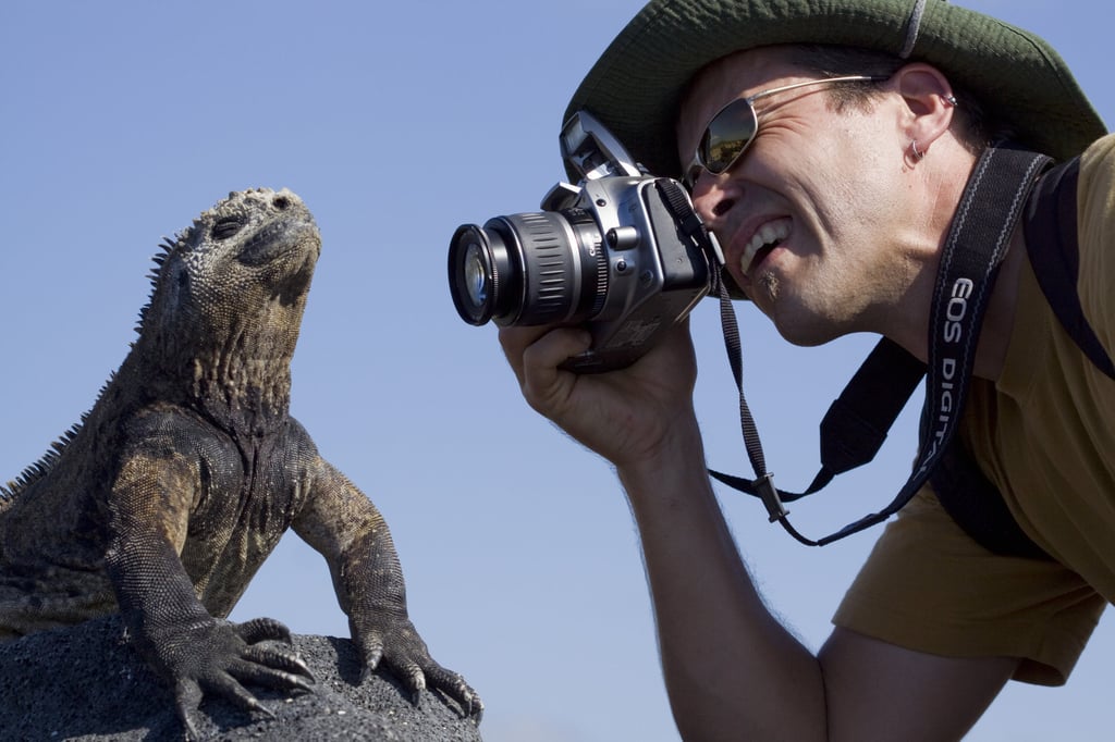 Sea iguanas were key to Luca’s sea monsters’ movement. Photo: Biosphoto Sea iguanas were key to Luca’s sea monsters’ movement. Photo: Biosphoto