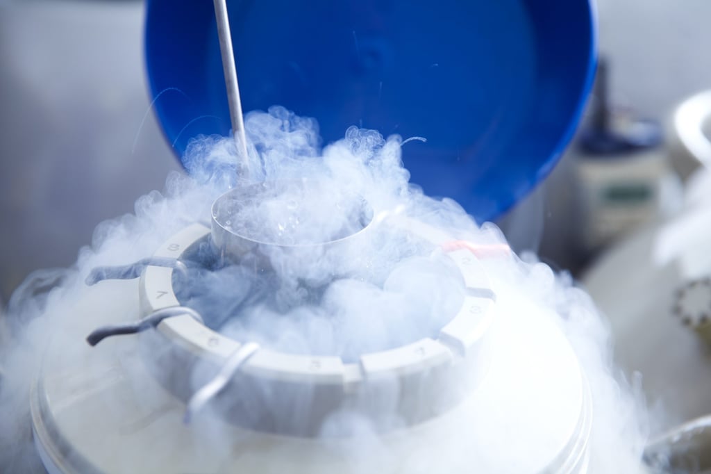 Hong Kong’s public-health sector will cover egg freezing for single and lesbian women only if the individual is undergoing treatment for cancer. Photo: Getty Images/Science Photo Library