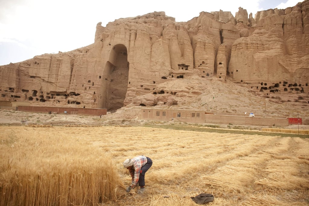 An Afghan farmer harvests wheat on July 30, 2010, near the ruins of two ancient Buddha statues destroyed with explosives by the Taliban in 2001. Photo: Getty Images An Afghan farmer harvests wheat on July 30, 2010, near the ruins of two ancient Buddha statues destroyed with explosives by the Taliban in 2001. Photo: Getty Images